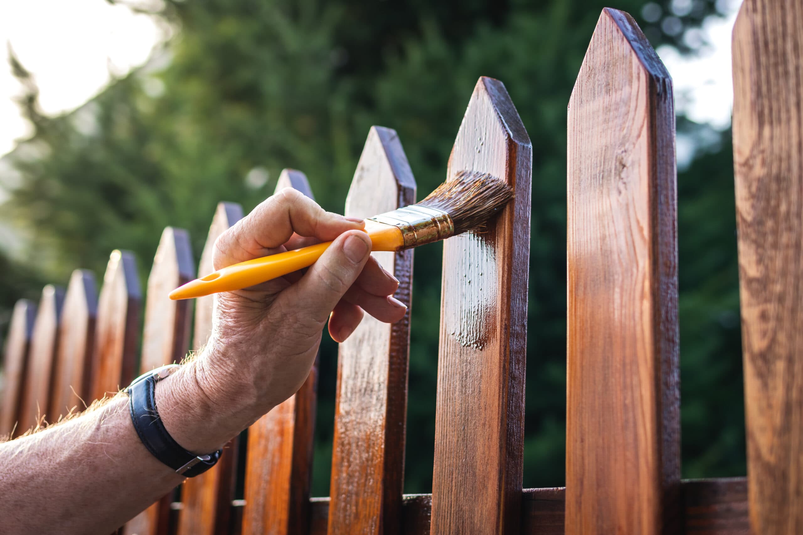 Cedar fence half stained rich brown and half weathered gray